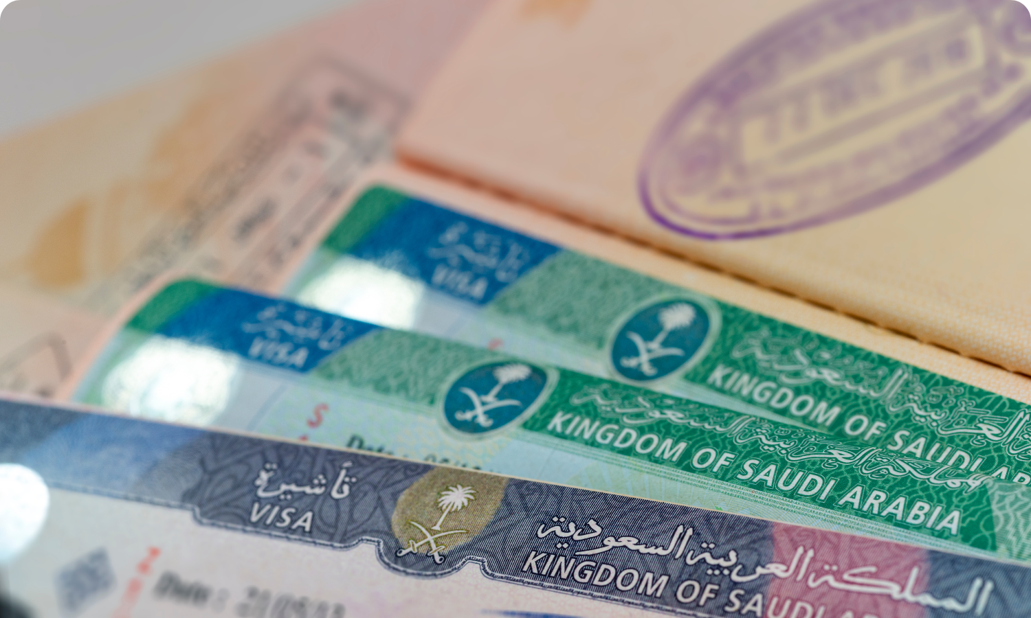 Visa Excellence Partner